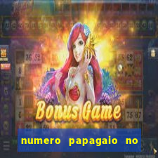 numero papagaio no jogo do bicho